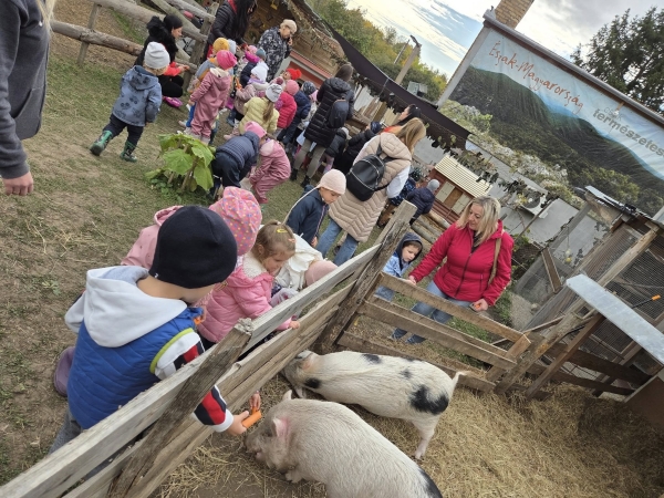 Állatok Világnapja - 2025 október