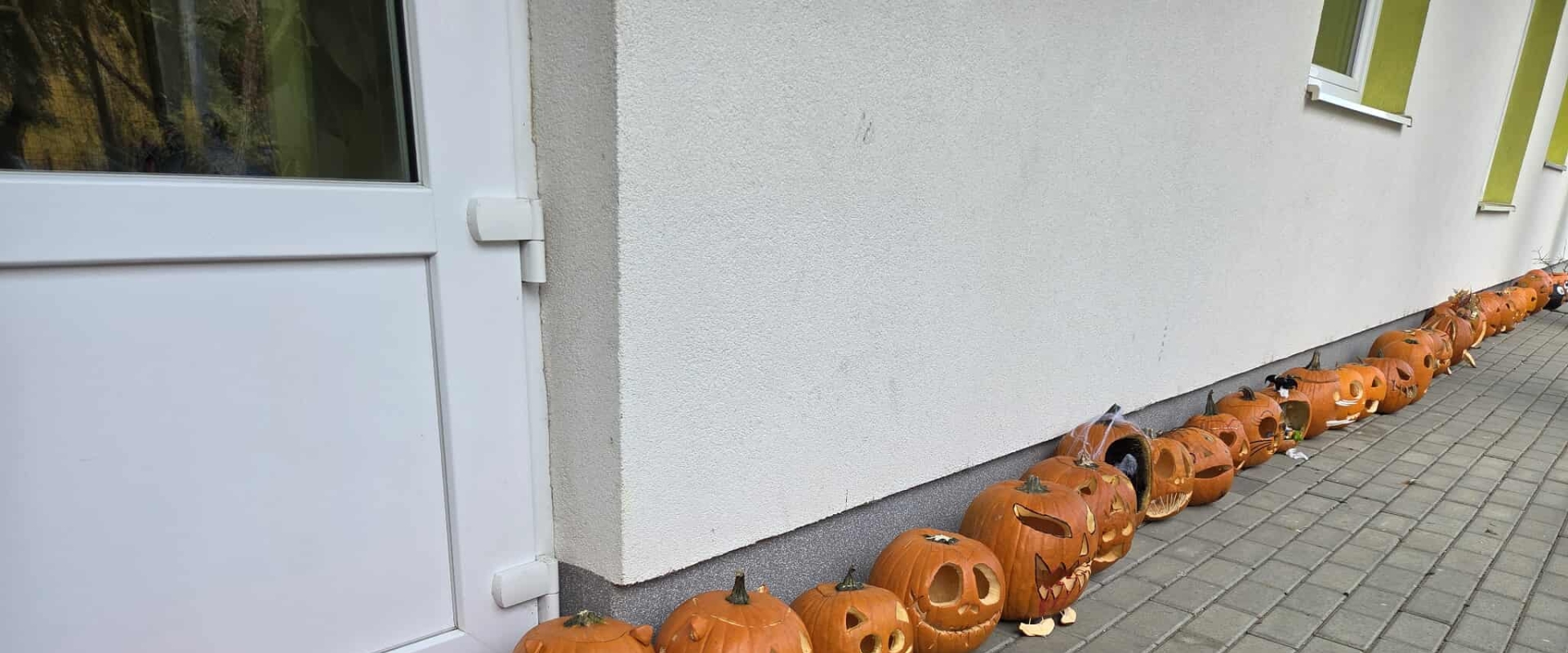 Slide: Tökmag Buli - 2025